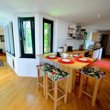 Green Haven Roofgarden Penthouse In Central Area Wien Exterior foto